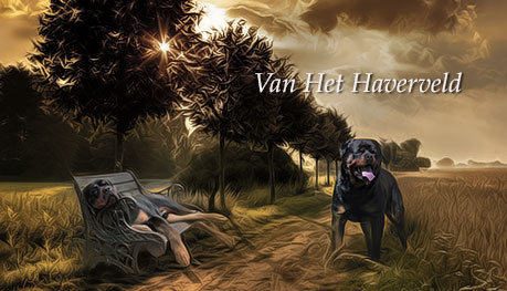 Website van het Haverveld